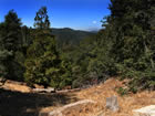 crestline lot for sale.